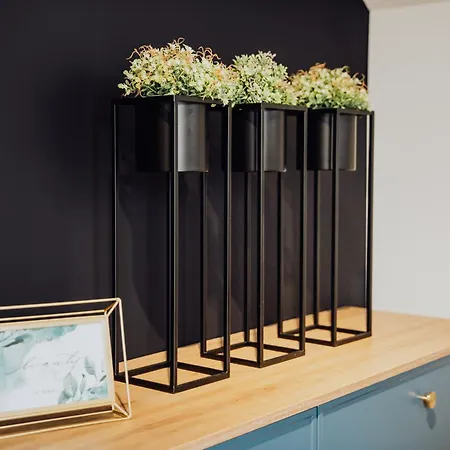 Lux 2 Cieplice Apartment