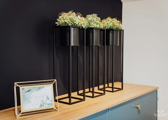 Lux 2 Cieplice Apartamento